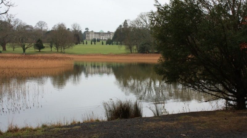 Featured image of Project: Emo Court